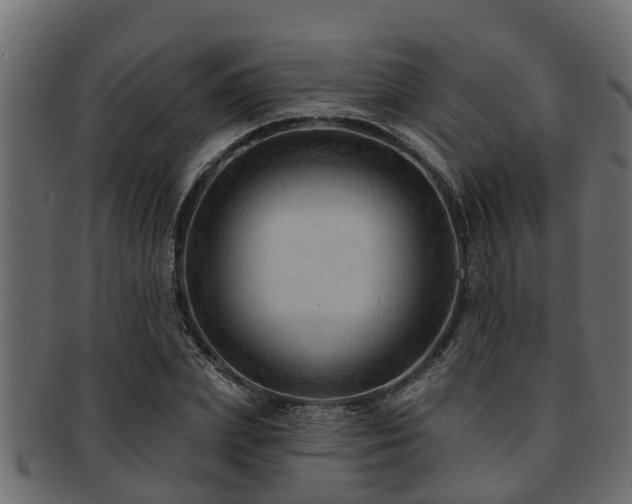 X0000093110831200709261249