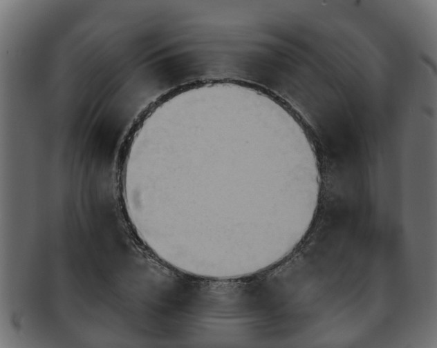 X0000093110832200709261249