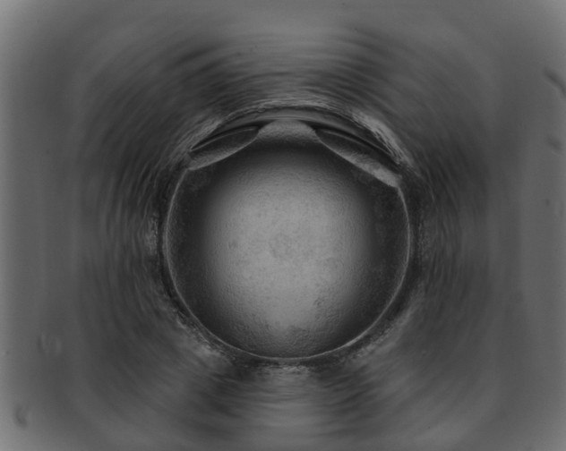 X0000093110833200709261249