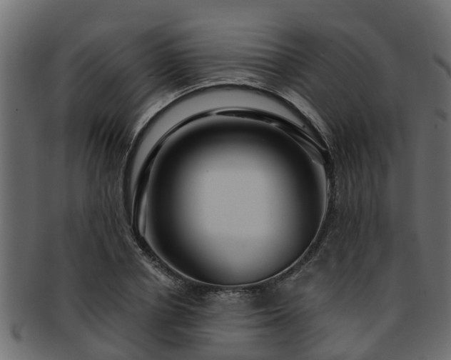 X0000093110834200709261249