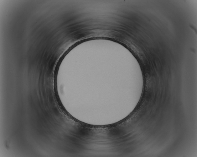X0000093110836200709261249