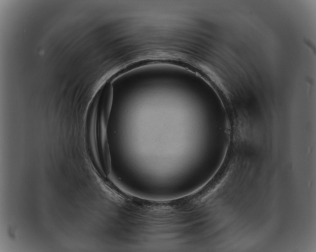 X0000093110837200709261249