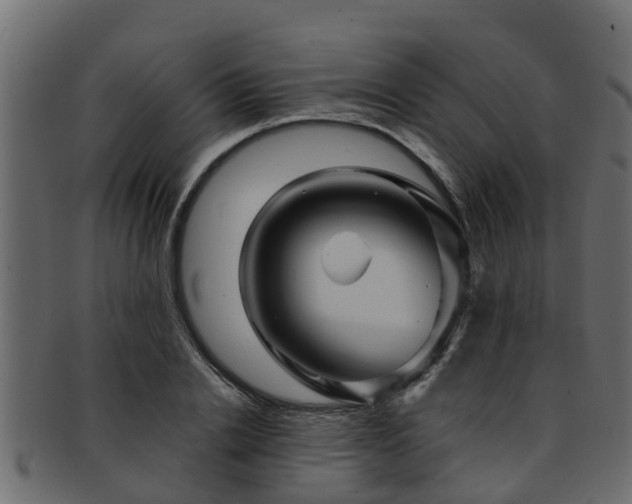 X0000093110838200709261249