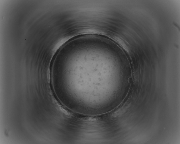 X0000093110839200709261249
