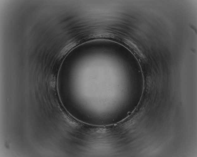 X0000093110841200709261249