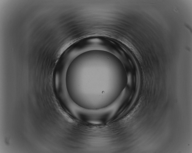 X0000093110842200709261249