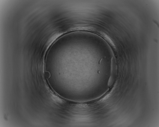 X0000093110844200709261249