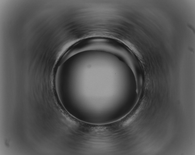 X0000093110846200709261249