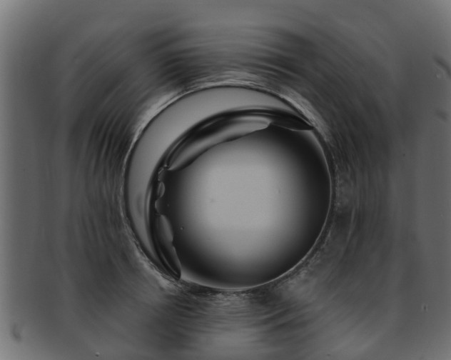 X0000093110850200709261249