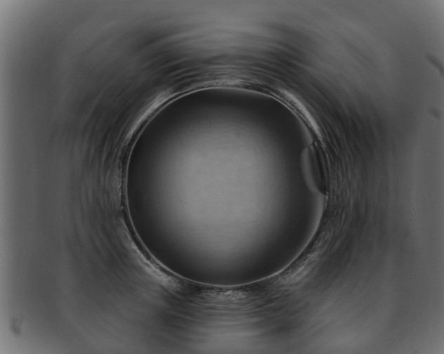 X0000093110851200709261249