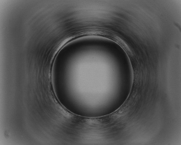 X0000093110852200709261249