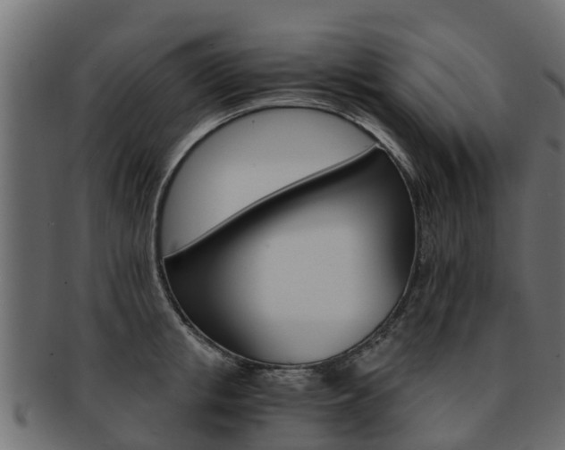 X0000093110853200709261249