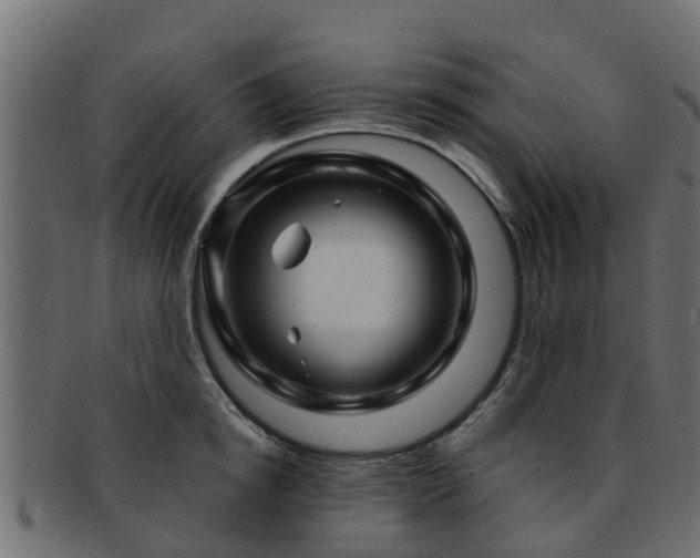 X0000093110854200709261249