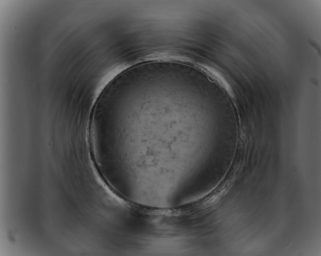 X0000093110855200709261249
