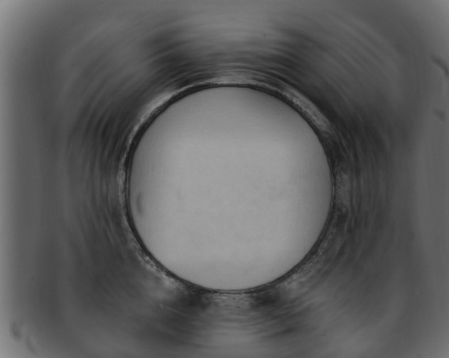 X0000093110856200709261249