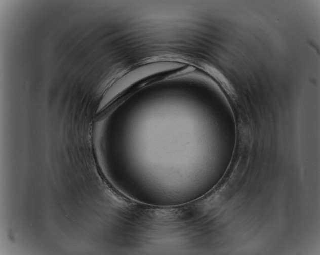 X0000093110857200709261249