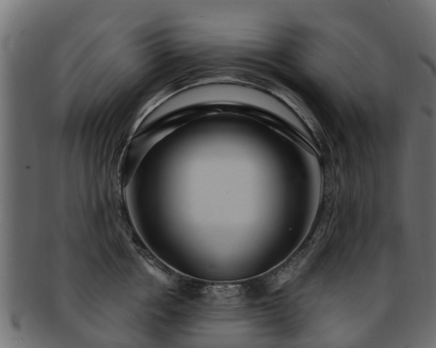 X0000093110858200709261249