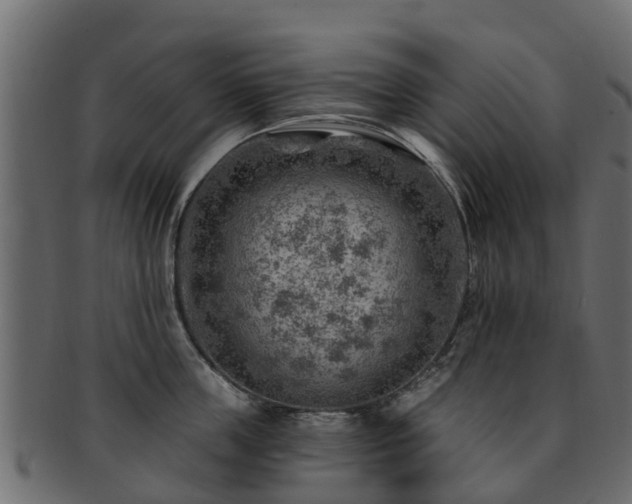 X0000093110859200709261249