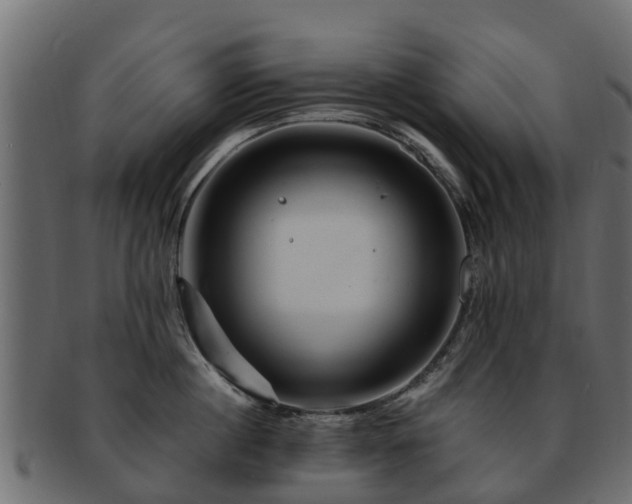 X0000093110860200709261249