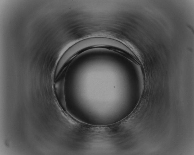 X0000093110862200709261249
