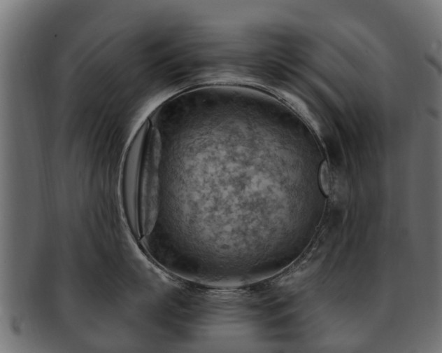 X0000093110863200709261249