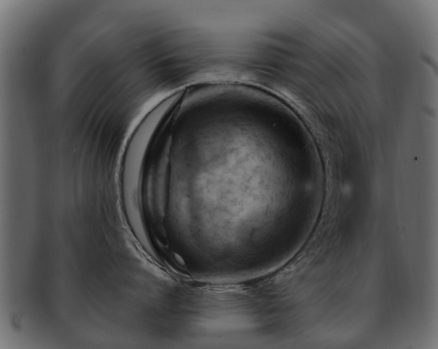 X0000093110864200709261249