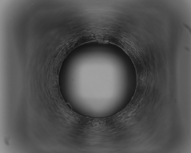 X0000093110865200709261248