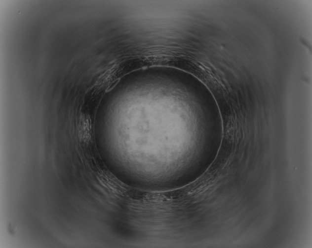 X0000093110866200709261248