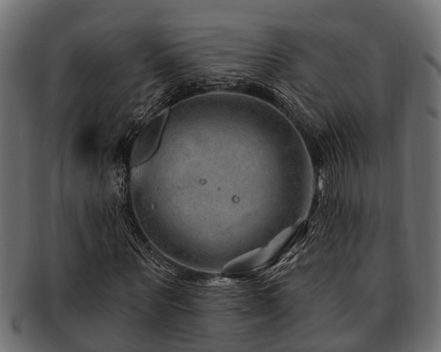 X0000093110867200709261248