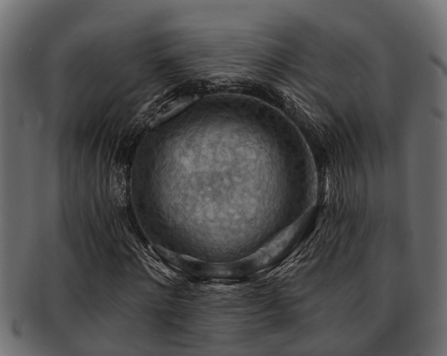 X0000093110868200709261248