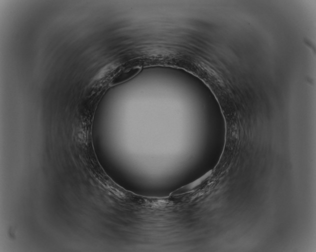 X0000093110869200709261248