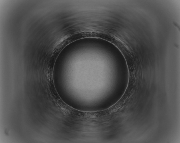 X0000093110870200709261248