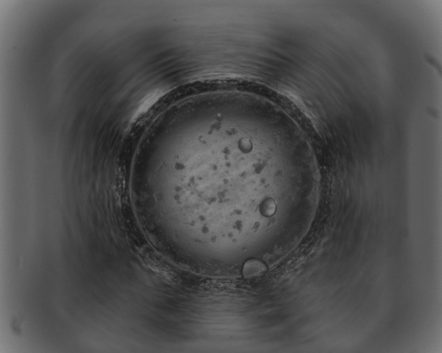 X0000093110871200709261248
