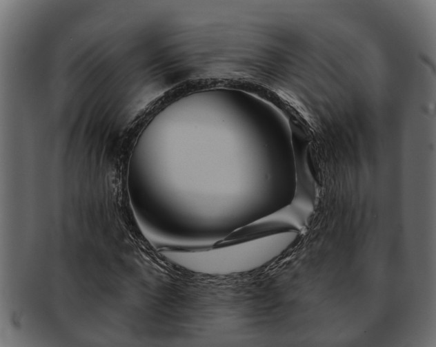X0000093110872200709261248