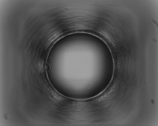 X0000093110873200709261248