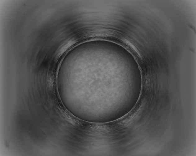 X0000093110874200709261248