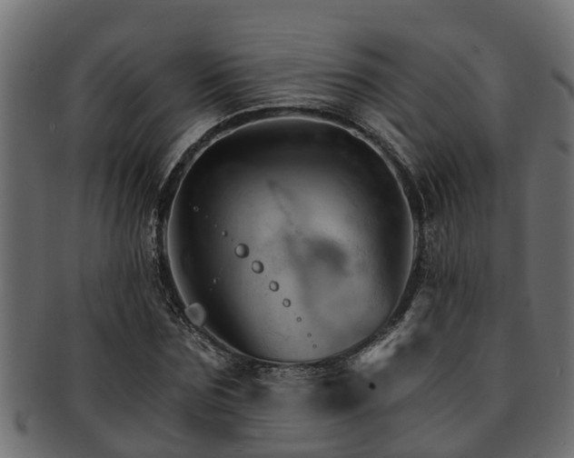 X0000093110875200709261248