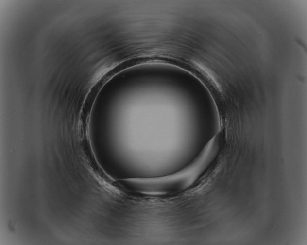 X0000093110876200709261248