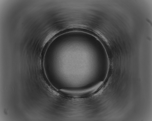 X0000093110877200709261248