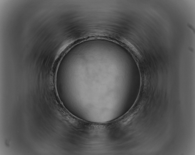 X0000093110878200709261248