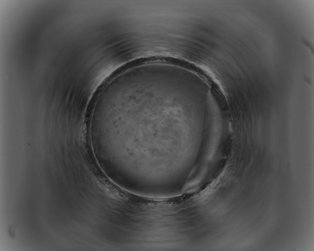 X0000093110879200709261248