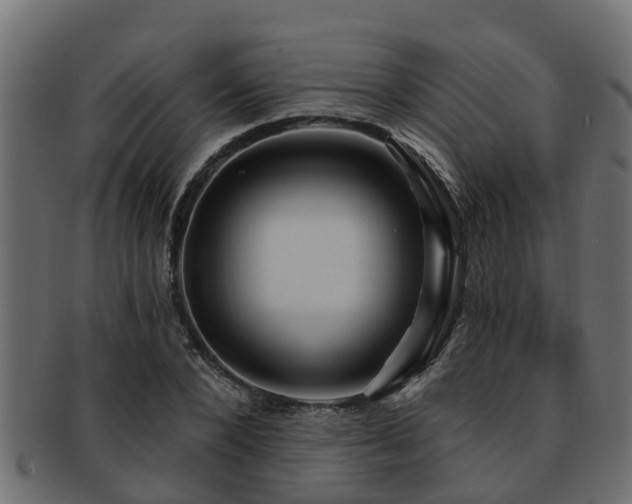 X0000093110880200709261248