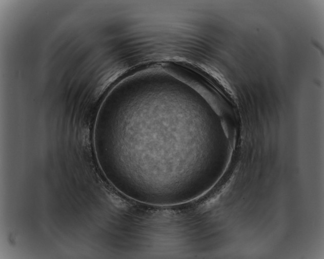 X0000093110881200709261248