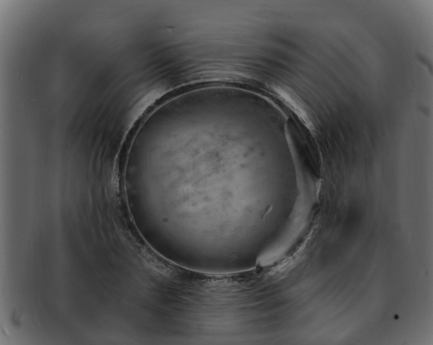 X0000093110883200709261248