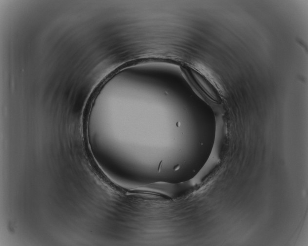 X0000093110884200709261248