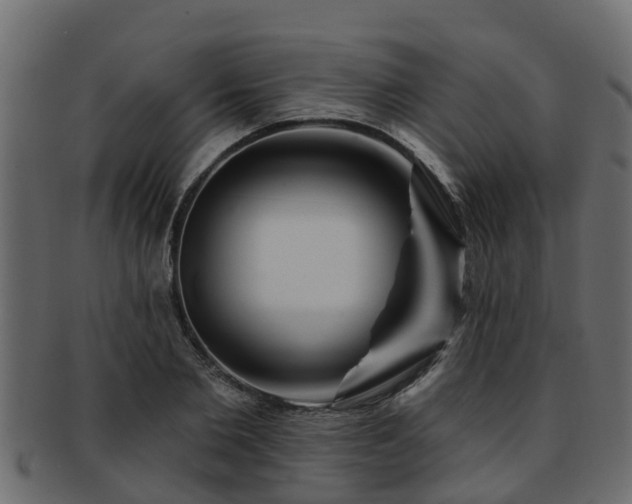 X0000093110885200709261248