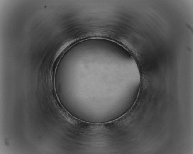 X0000093110886200709261248