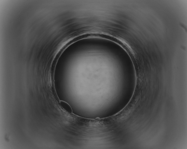 X0000093110887200709261248