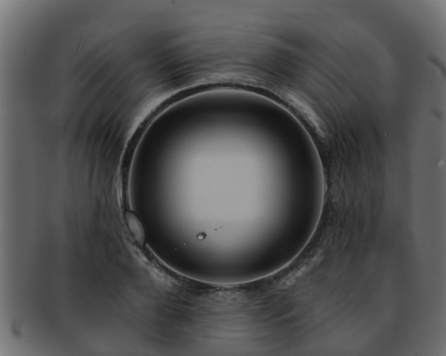 X0000093110888200709261248