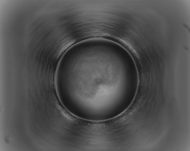 X0000093110889200709261248